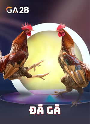 Trò Chơi Bài
